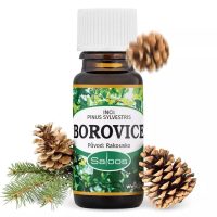 SALOOS - Éterický olej 100% Borovica Rakúsko