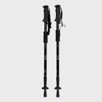 Palice na nordic walking Line Sport